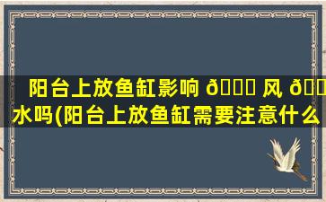 阳台上放鱼缸影响 🕊 风 🕸 水吗(阳台上放鱼缸需要注意什么风水)
